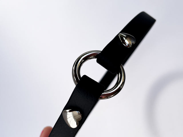 BioThane® Slip-On ID Tag Collar - Heart-Shaped Hardware