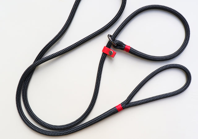 Slip Leash