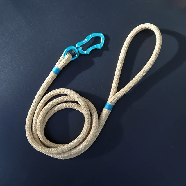 Teal & Beige Rope Leash