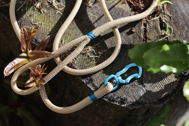 Teal & Beige Rope Leash