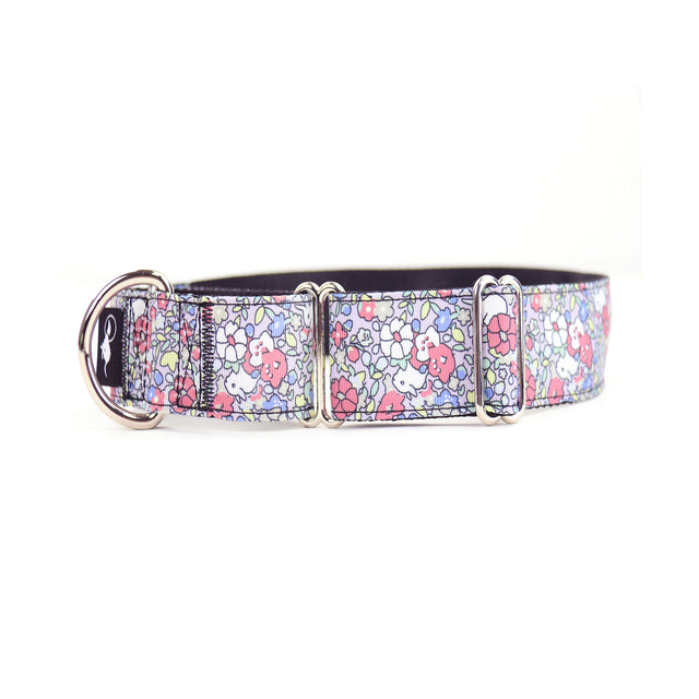 A multicolor floral martingale dog collar with metal hardware.