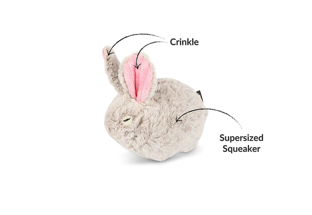 P.L.A.Y.  | Baxter the Bunny Dog Toy