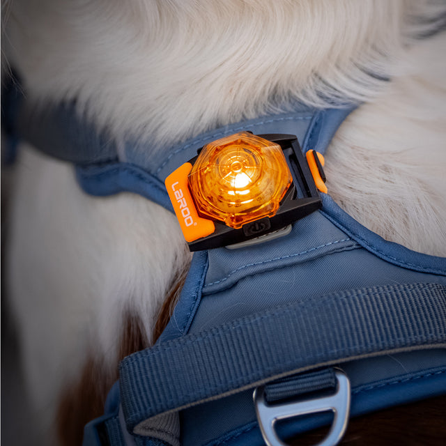 Laroo | Dog Safety Beacon Light | NEW