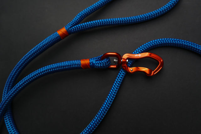 Orange & Electric Blue Rope Dog Leash