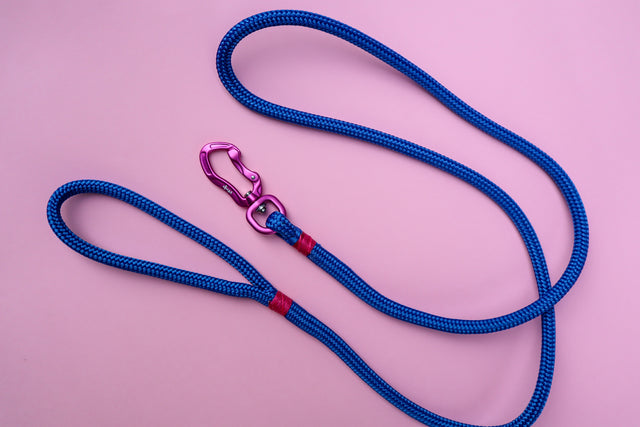 Pink & Electric Blue Rope Dog Leash