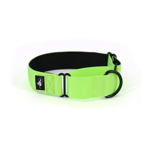 A fluro green martingale dog collar with a black logo tag and a black ring for attachment.