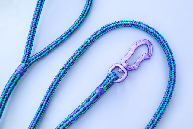 Galactic Rope Leash - Purple