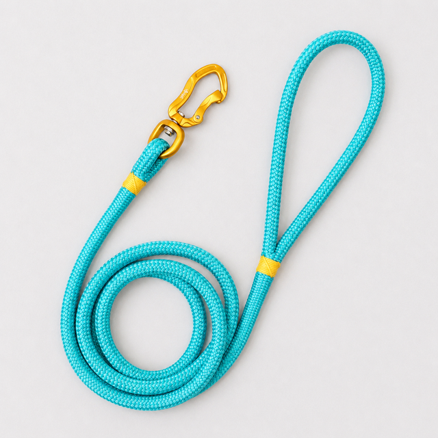 Gold & Tiffany Blue Rope Leash