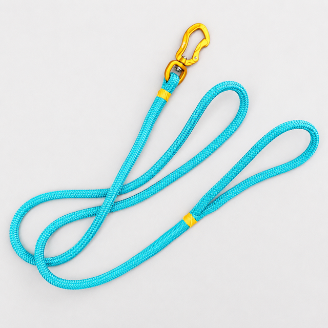 Gold & Tiffany Blue Rope Leash