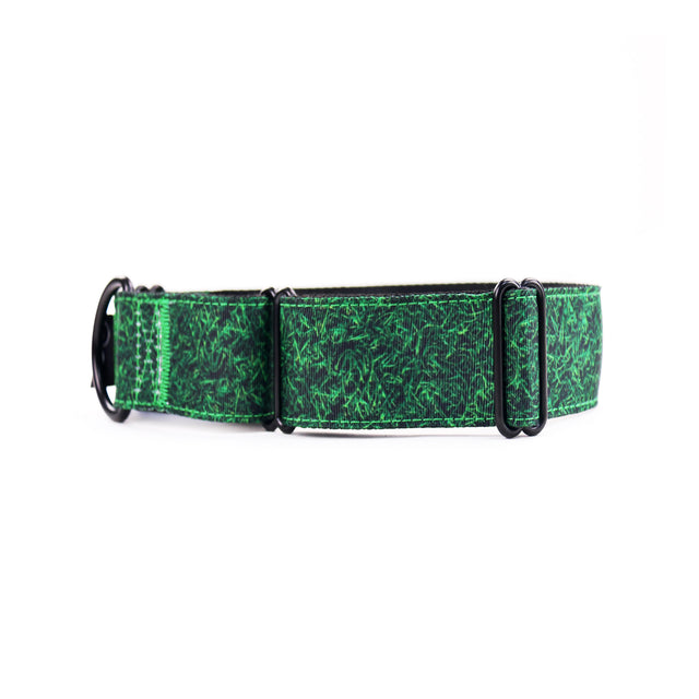 A green martingale dog collar with a pattern that resembles grass.