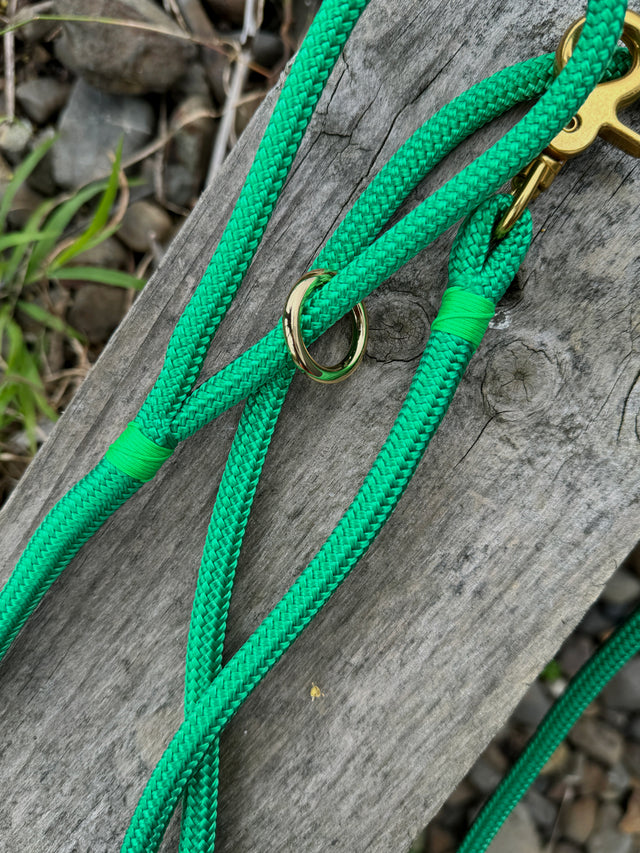 Trigger Clip Rope Leash - Green