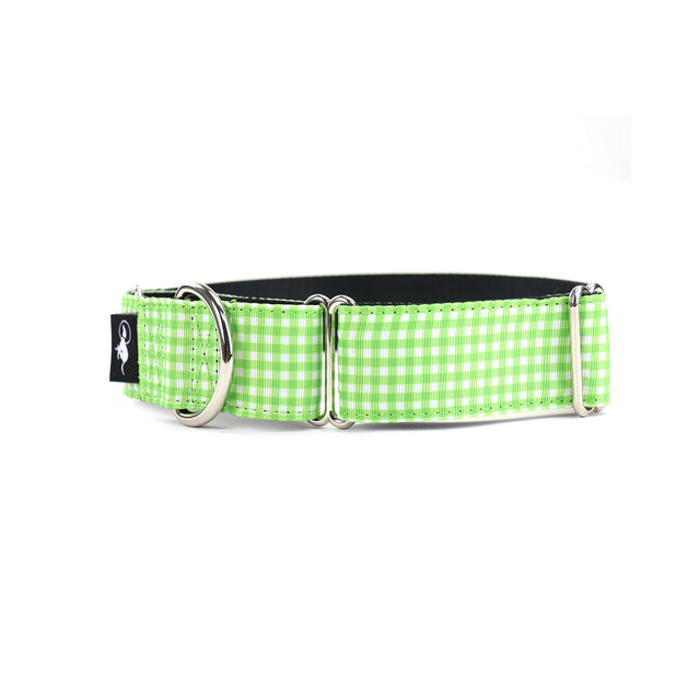 A green and white checkered martingale dog collar with a black metal buckle and soft polyester webbing.