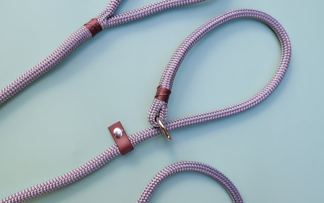 Slip Leash