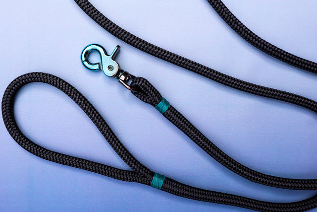 Gradient Trigger Clip Rope Leash - Black