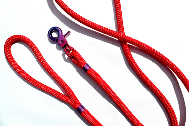 Gradient Trigger Clip Rope Leash - Red