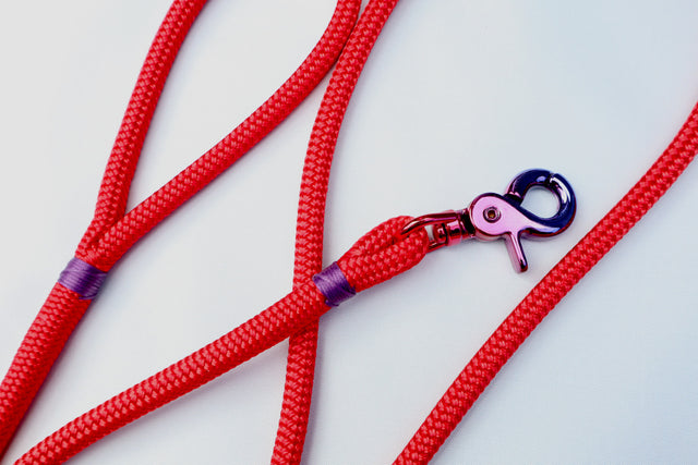 Gradient Trigger Clip Rope Leash - Red