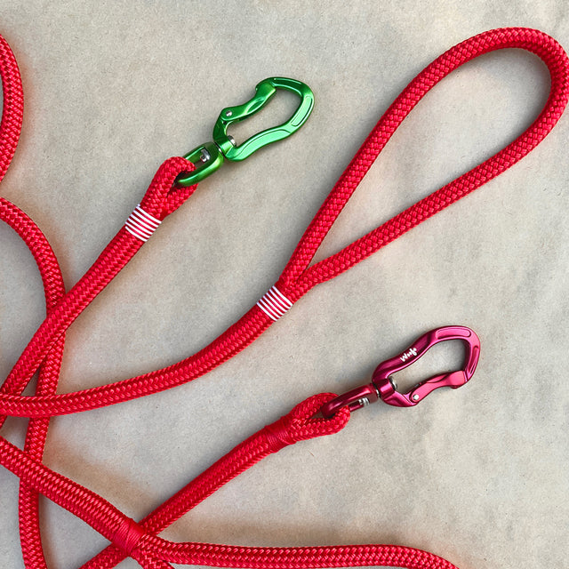 Xmas Rope Leash