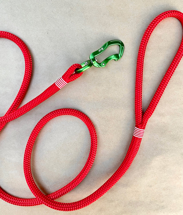 Xmas Rope Leash