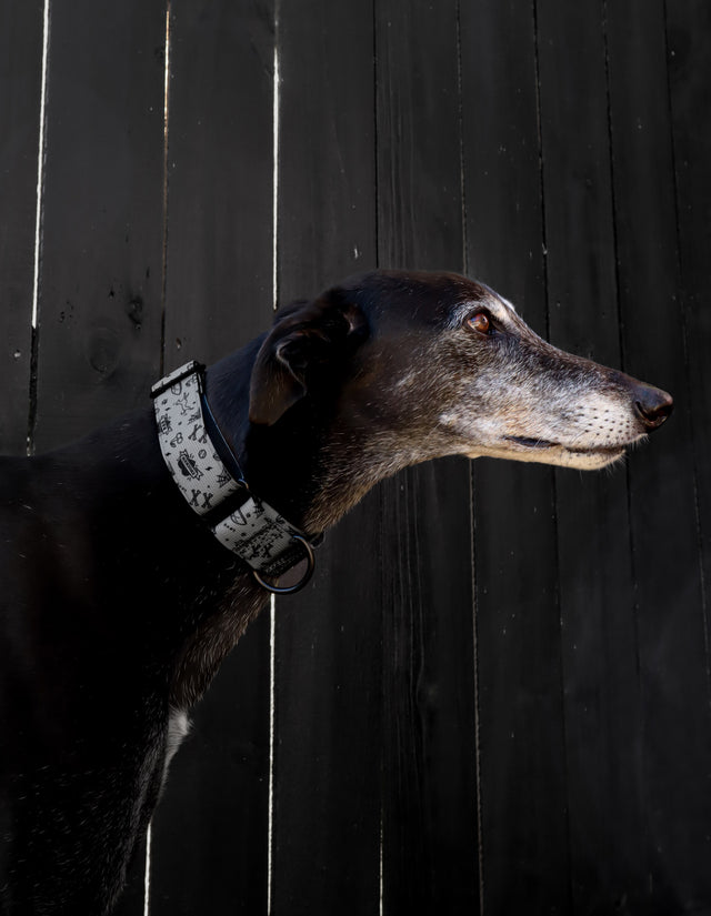 Adventure Martingale Collar - Ink