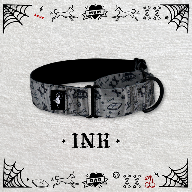 Adventure Martingale Collar - Ink