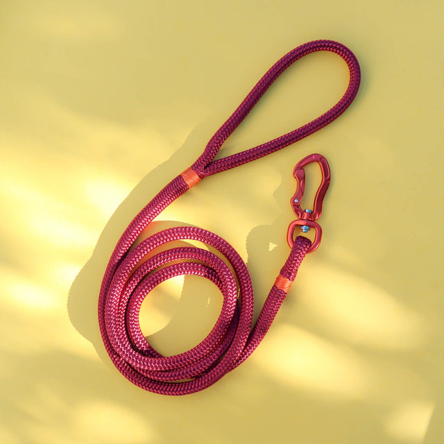 Orange & Glossy Maroon Rope Dog Leash