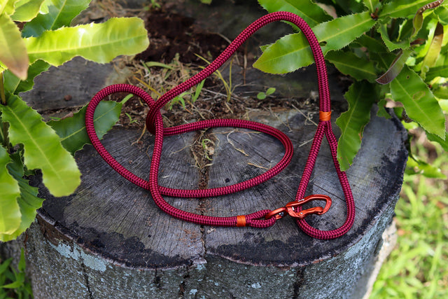 Orange & Glossy Maroon Rope Dog Leash