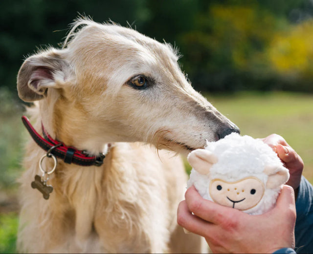 P.L.A.Y. Barnyard Buddies | Sadie the Sheep