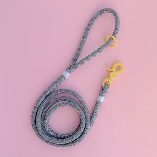 Trigger Clip Rope Leash - Pastel