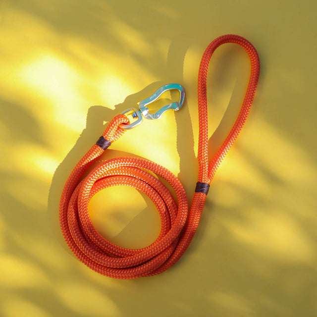 Olive & Burnt Orange Rope Leash