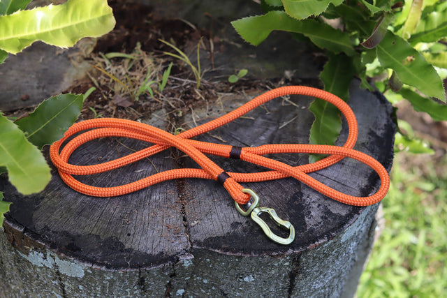 Olive & Burnt Orange Rope Leash