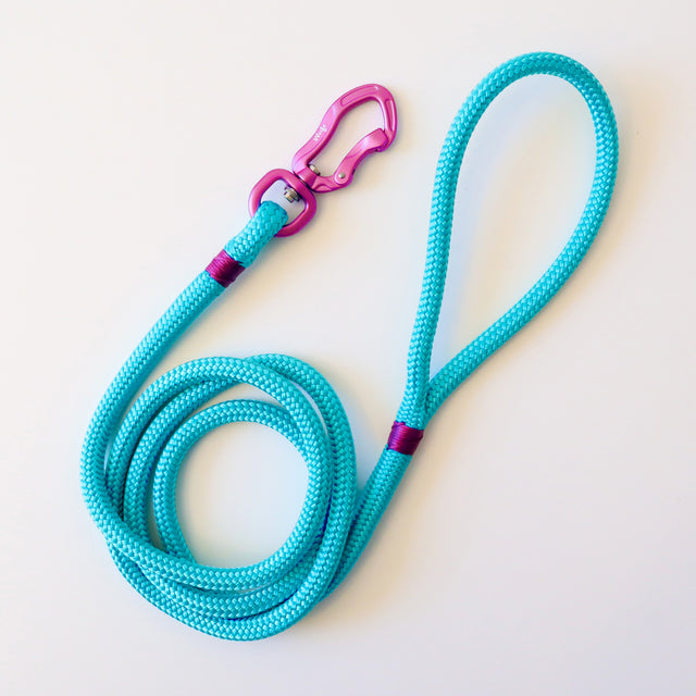 Pink & Tiffany Blue Rope Leash
