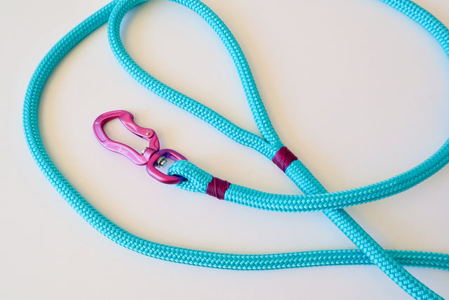 Pink & Tiffany Blue Rope Leash