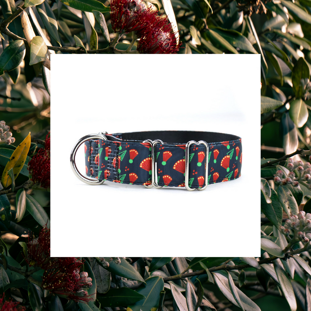 Pōhutukawa Martingale Dog Collar