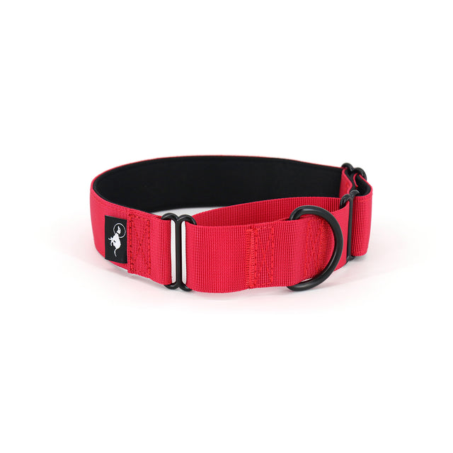 A red martingale dog collar with a black interior and a metal ring at the end, displayed on a white background.