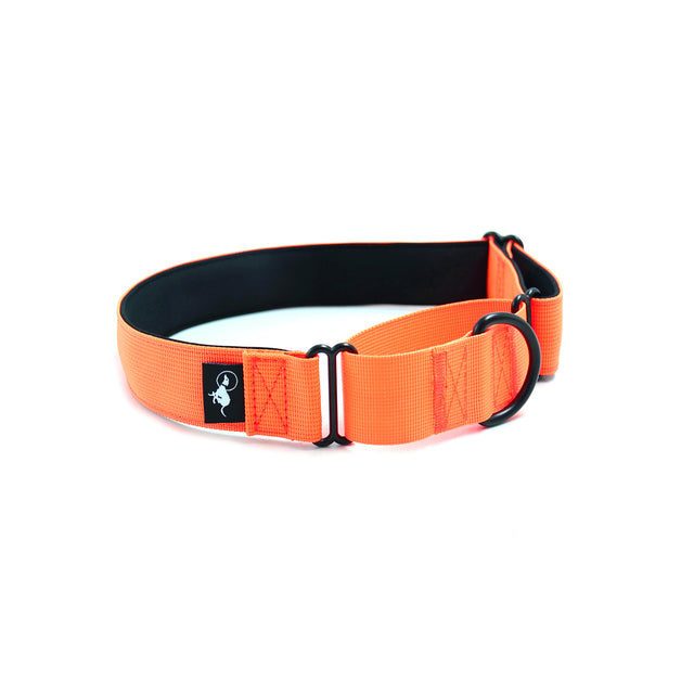 A fluro orange martingale collar, made of polyester webbing with neoprene padding.