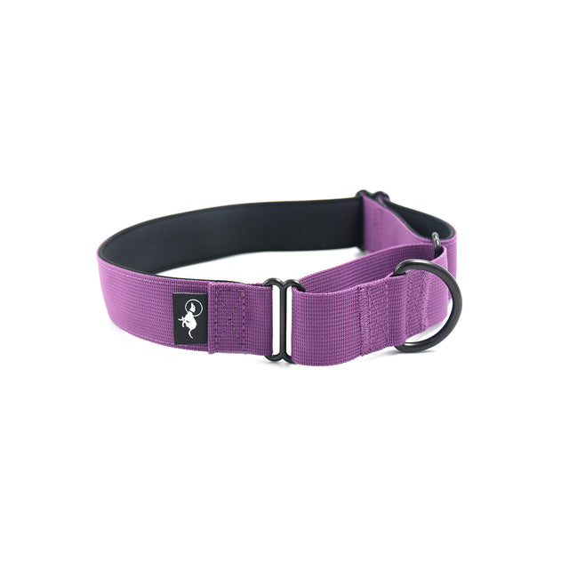 A purple-colored martingale collar, made of polyester webbing with neoprene padding.