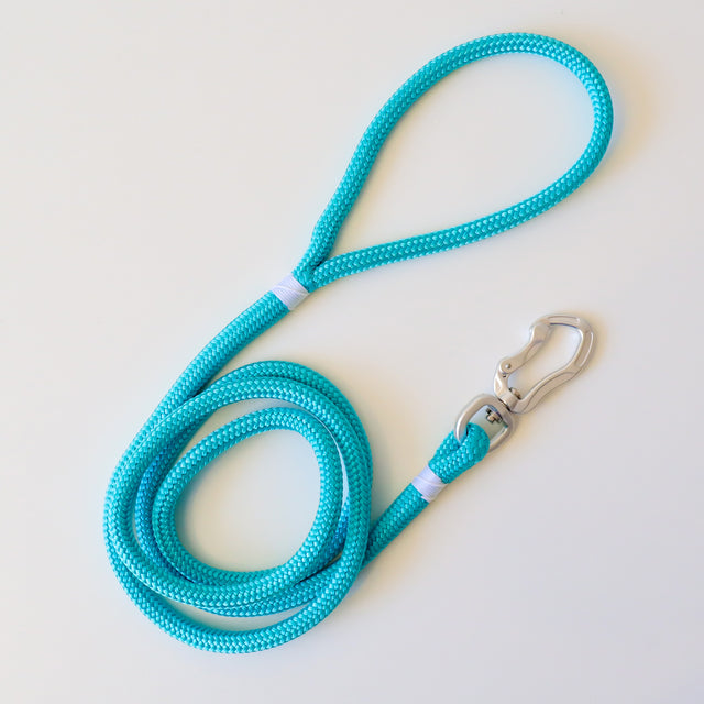 A Tiffany blue coloured rope leash with a silver carabiner.