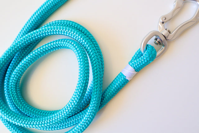Silver & Turquoise Rope Leash