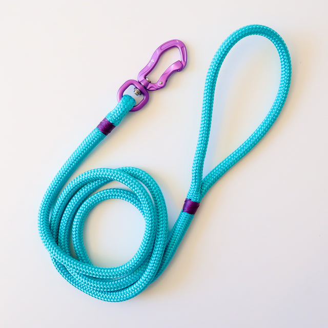 A Tiffany blue coloured rope leash with a purple carabiner.