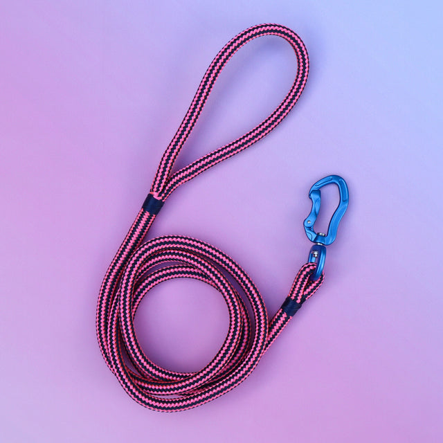 Zippy Pink Rope Leash - Blue
