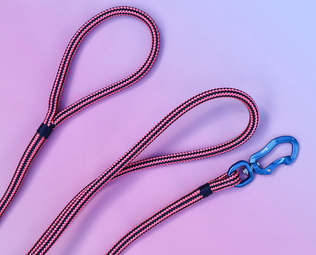 Zippy Pink Rope Leash - Blue