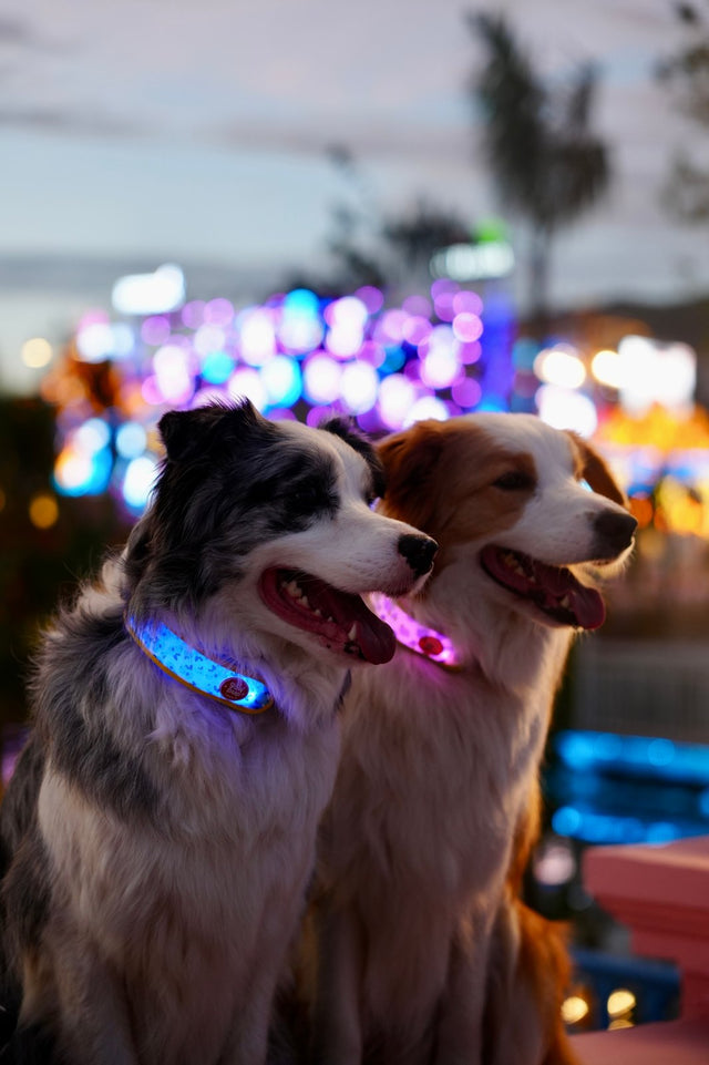Laroo | Strap Blinker LED Safety Light