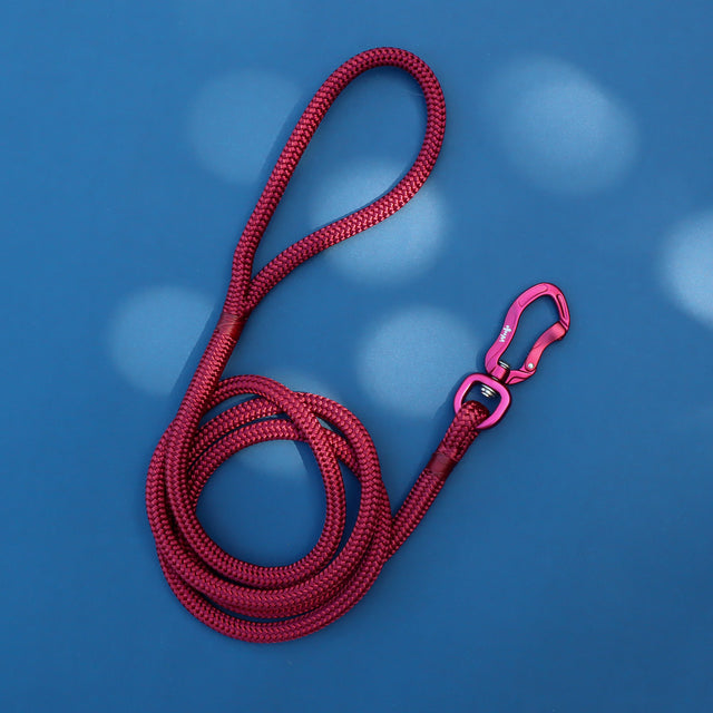 Glossy Maroon Rope Dog Leash