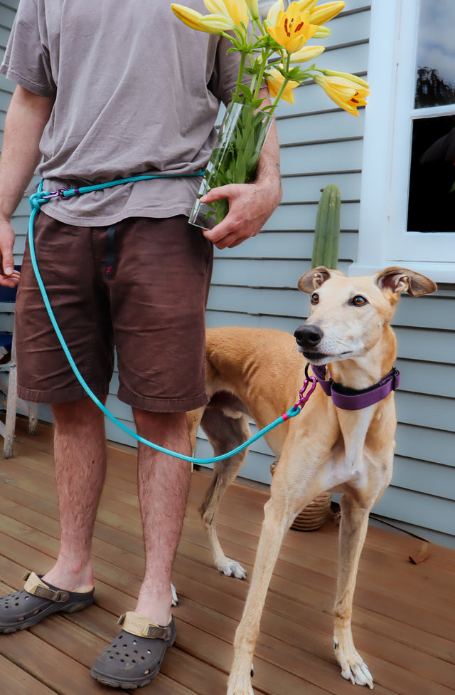 A person wearing a brown shirt and brown shorts is holding a double-ended dog leash. The leash has a rope with two clips, and a dog is attached to one end of the leash, standing on a wooden deck.