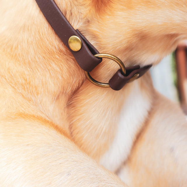 BioThane® Slip-On ID Tag Collar - Leather-like