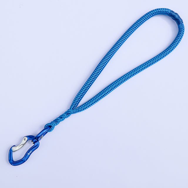 Traffic Handle Dog Leash - Blue