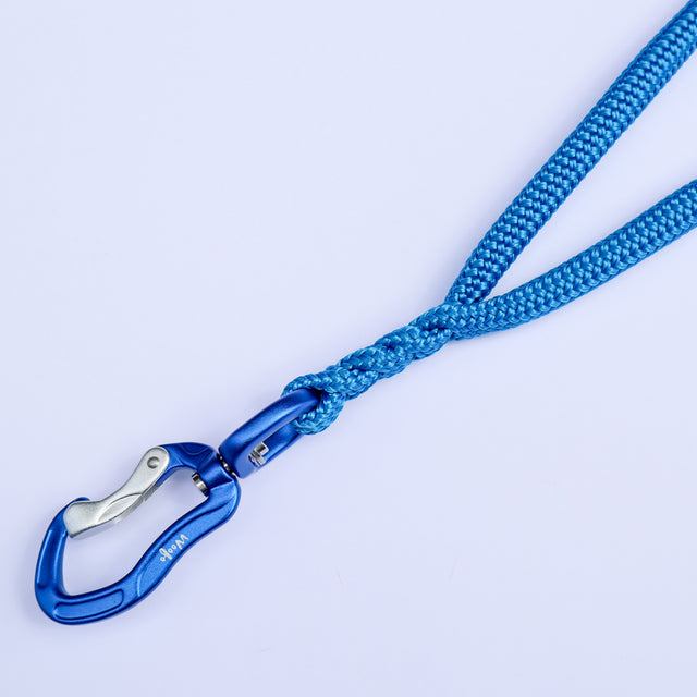 Traffic Handle Dog Leash - Blue