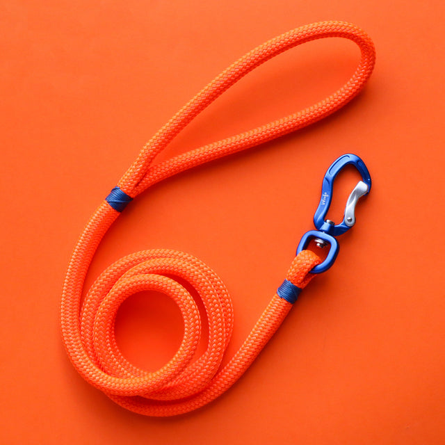 Blue & Fluro Orange Rope Leash