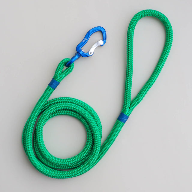 Blue & Green Rope Dog Leash