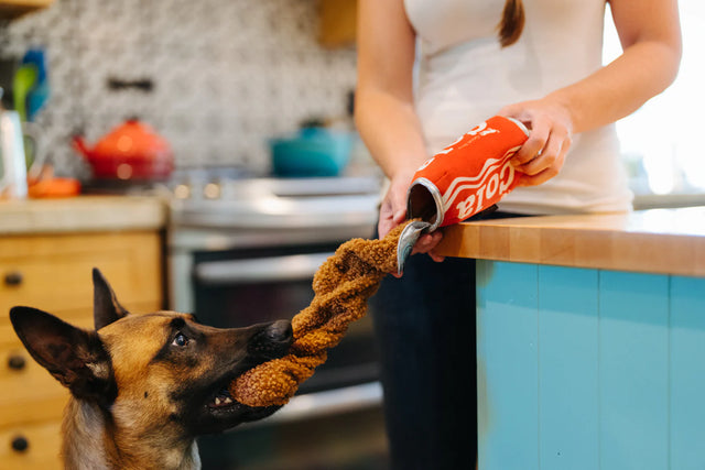 P.L.A.Y. Snack Attack | GOOD BOY COLA Dog Toy